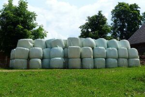 Improving silage quality and fermentability with silage additives