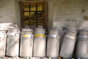 Farmhouse milk jugs