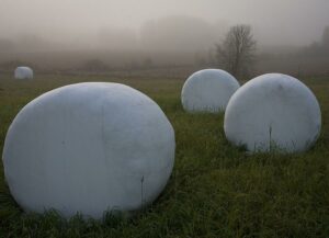 Silage balls in a foggy landscape