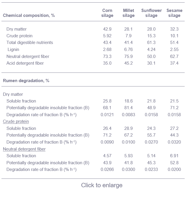 Chemical composition and ruminal degradability of silages