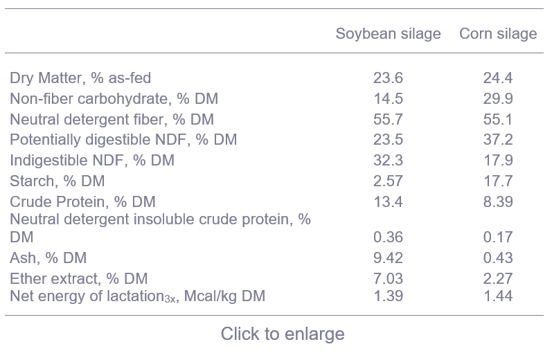 Soybean silage as an alternative forage for dairy cows - table 1