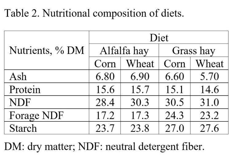 Inclusion of wheat or corn grains in dairy cow diets