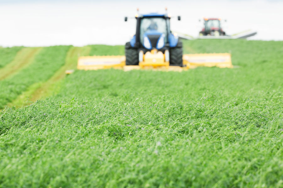 Understanding Hay Inoculants and Preservatives on 'Dry' Hay