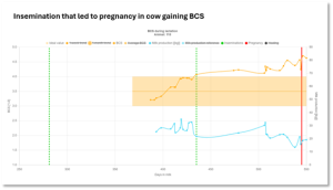 fertility