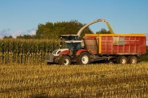 silage inoculants