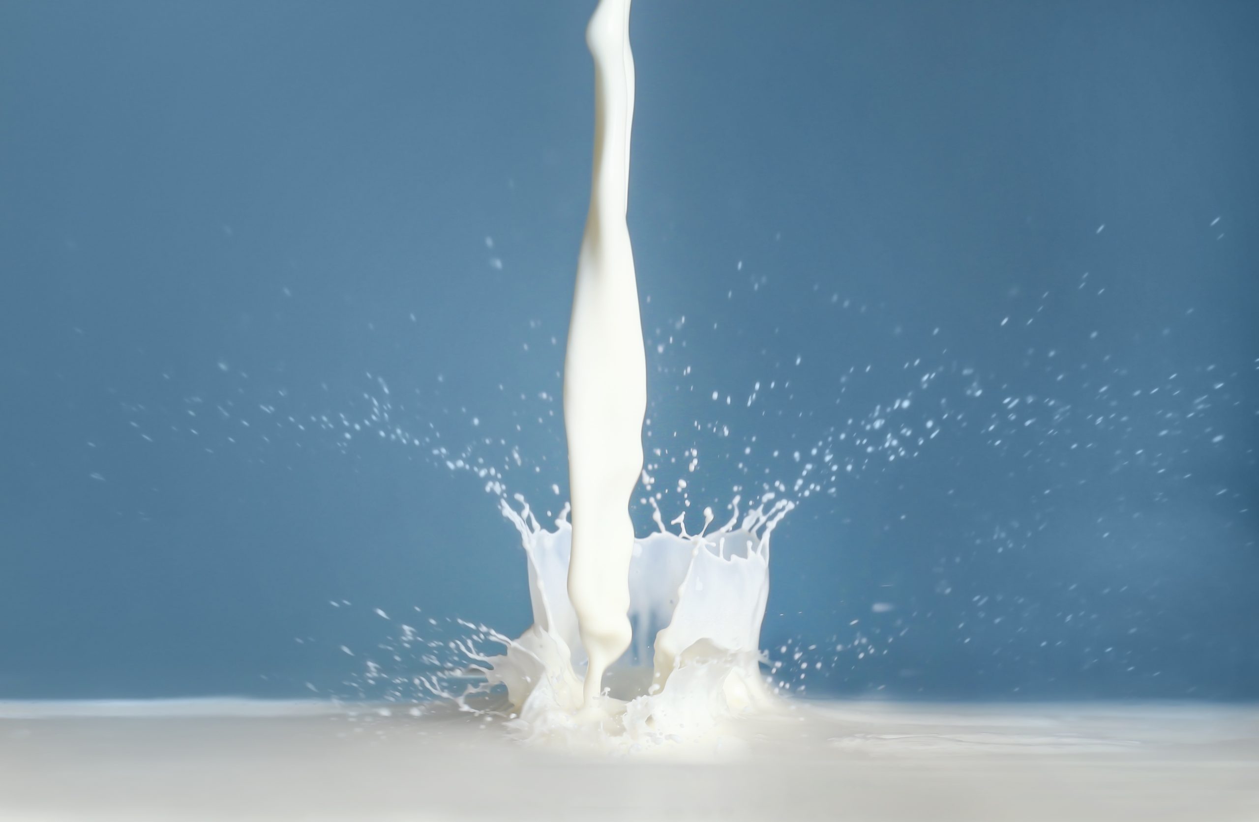 milk components