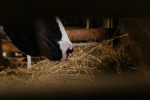 acidosis
