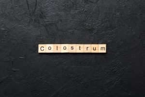 Colostrum