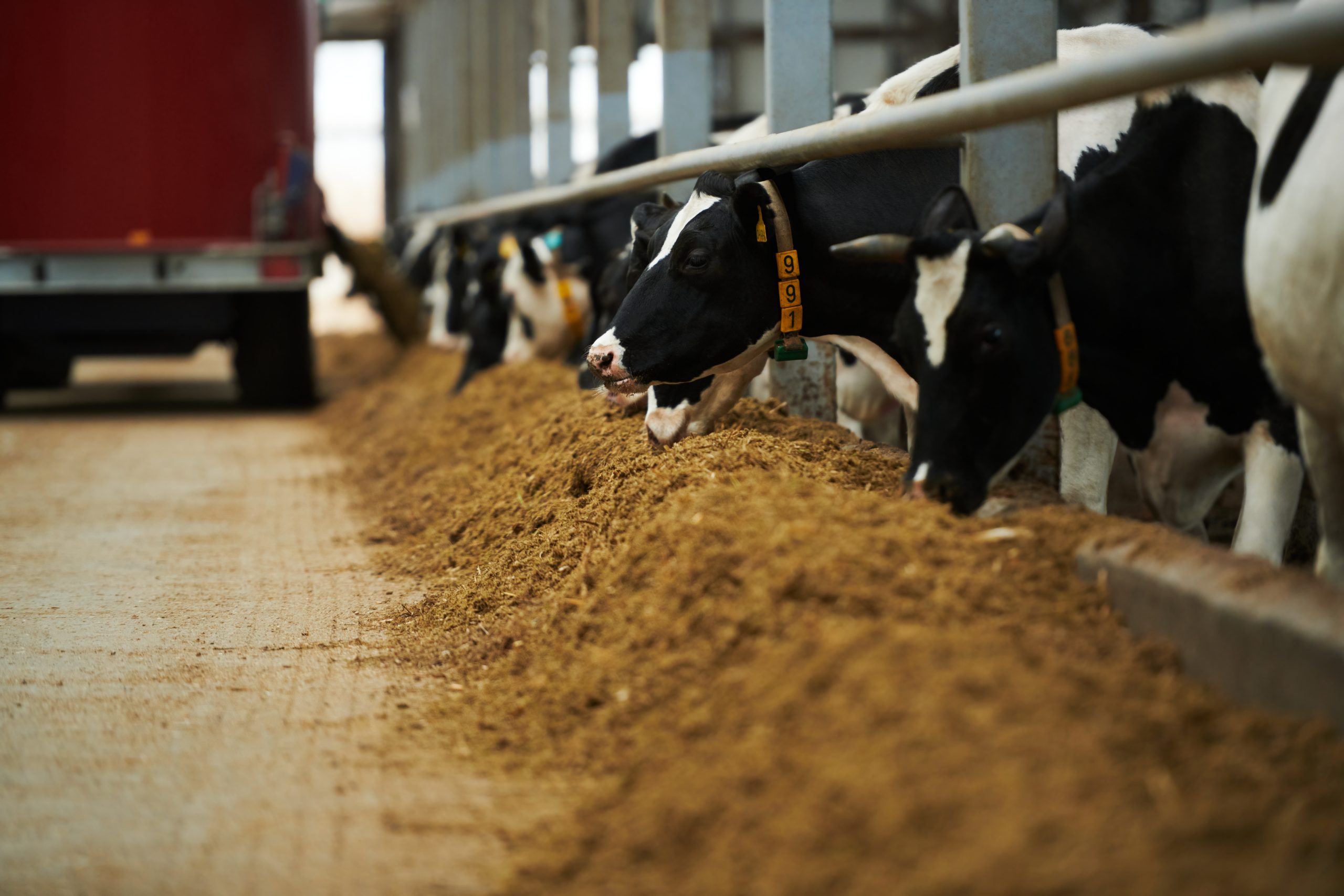 methane yield