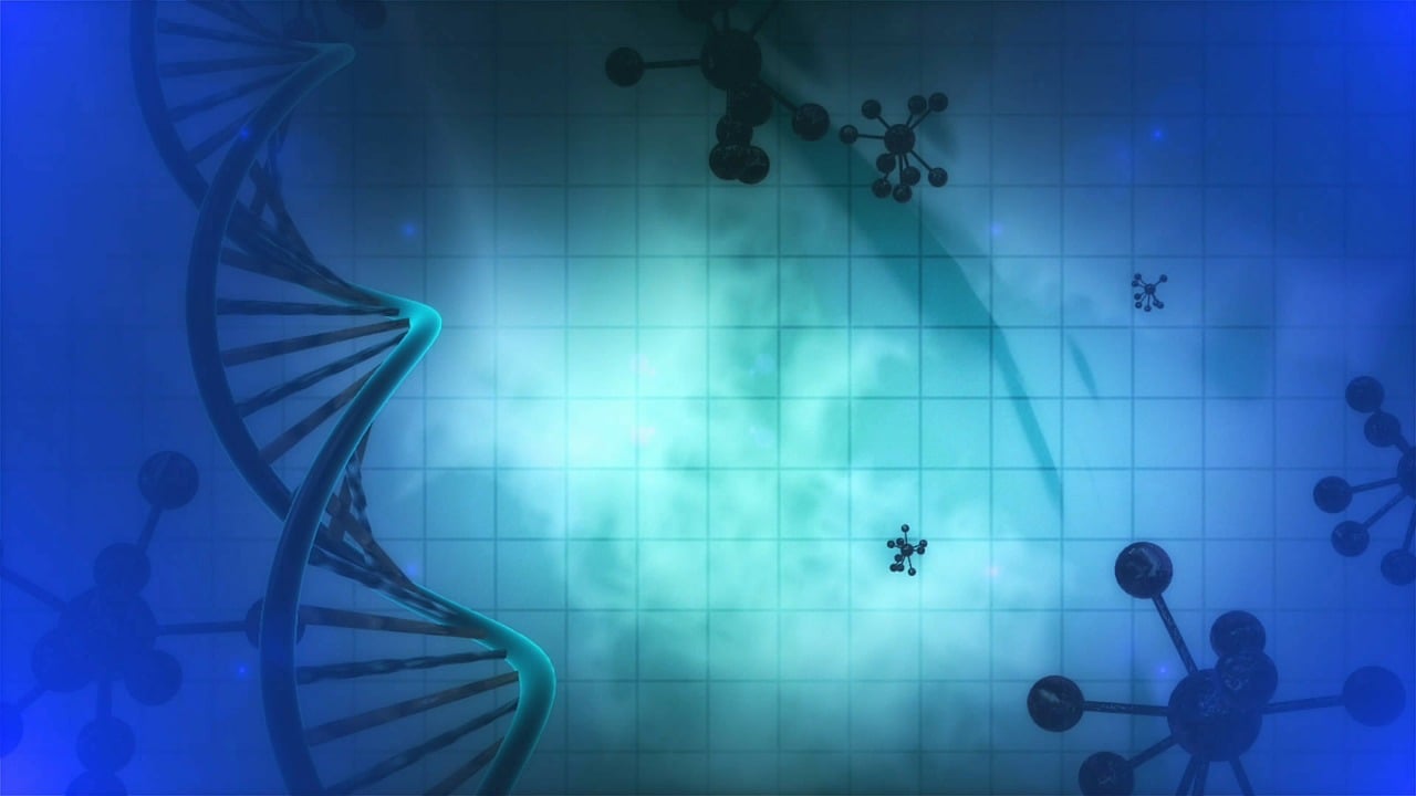 epigenetics