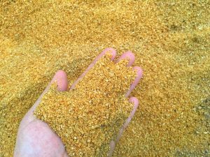 Distillers dried grains