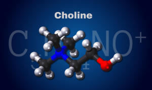 choline