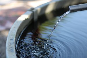 Water