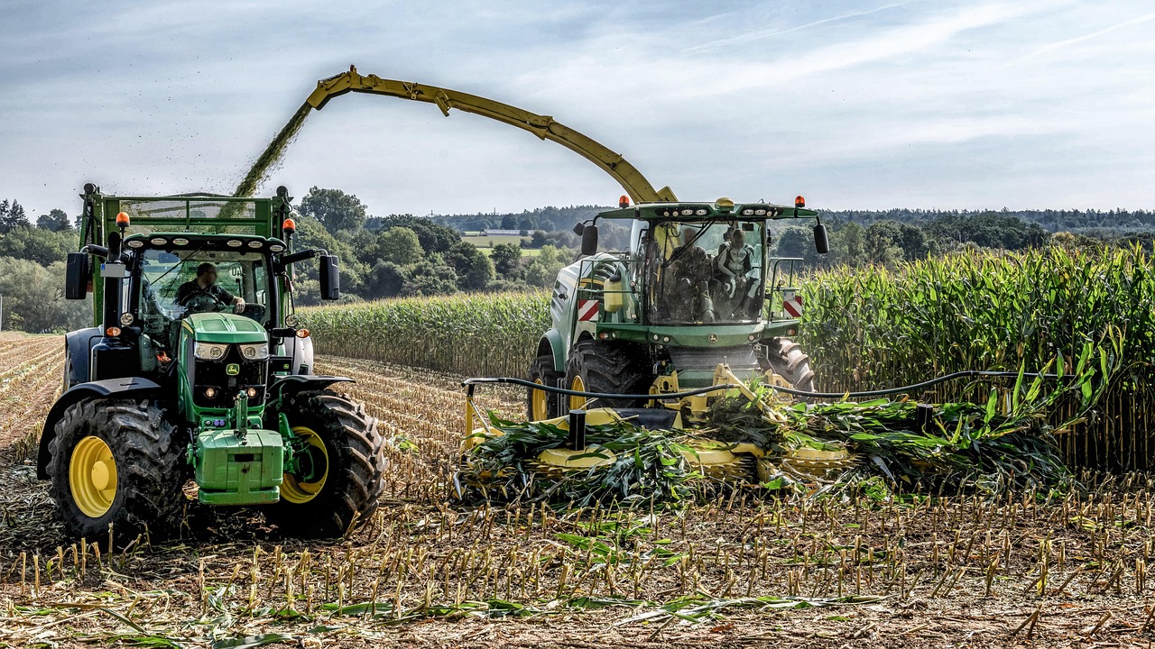 silage