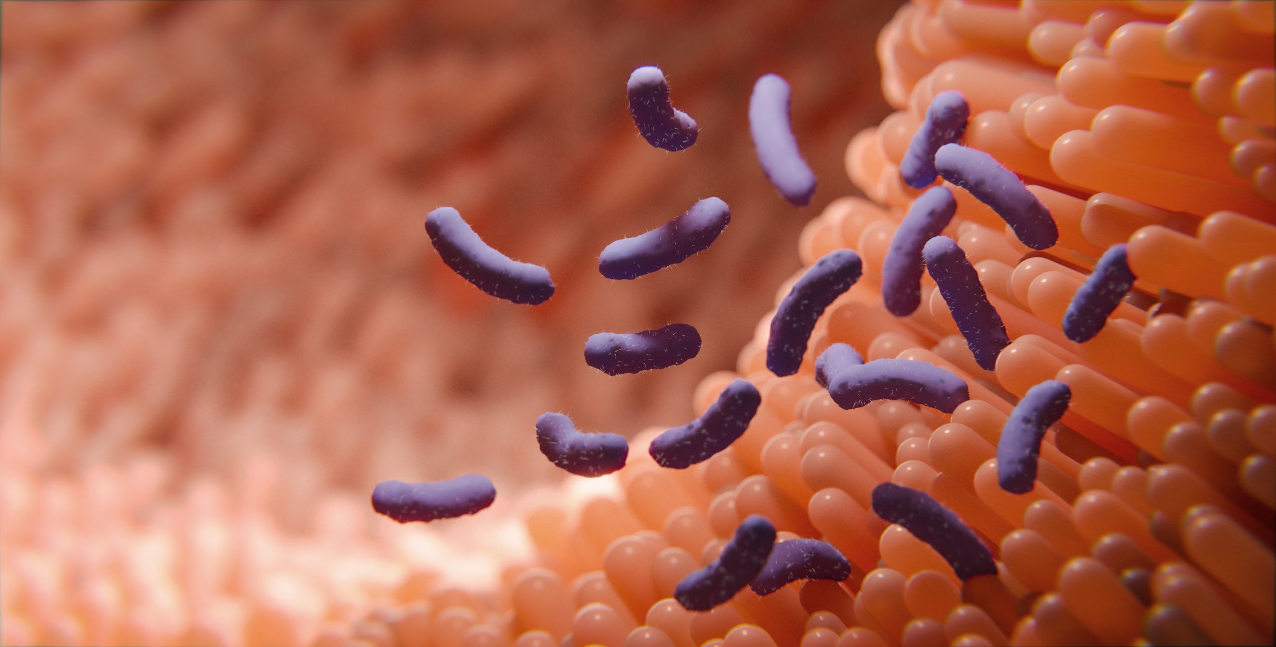 gut microbiome