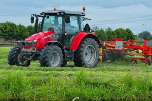 Strategies of diets based on high-quality grass silage