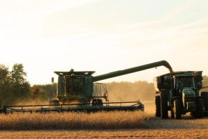 Harvest