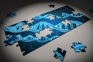 Effects of metabolomics on ruminal biomarkers in milk production