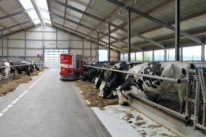 Harmful effects of feed restriction on milk fat synthesis