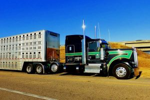 Importancia de la dieta previa al transporte sobre el estado fisiológico de terneros jóvenes