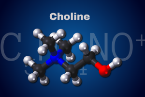 choline