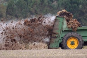 manure