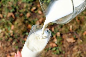 Feeding fish oil increases omega-3 fatty acids in milk