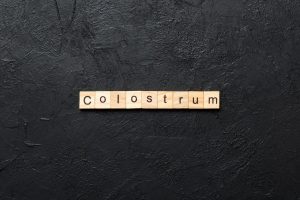 Colostrum
