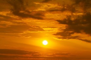 heat stress estrés térmico