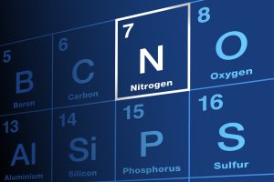nitrogen