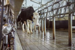 Footbath