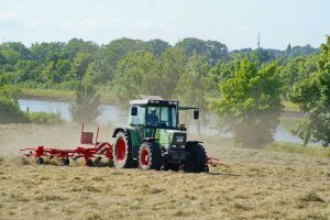 Ryegrass-POST