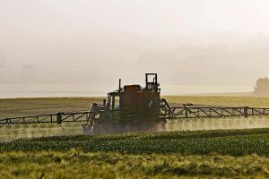 Glyphosate does not cause adverse effects in dairy cows