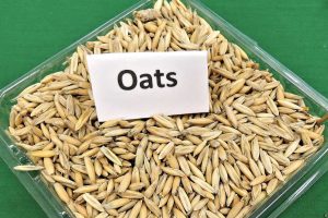 oats