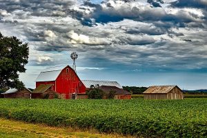 Typical North American farm. Landscape